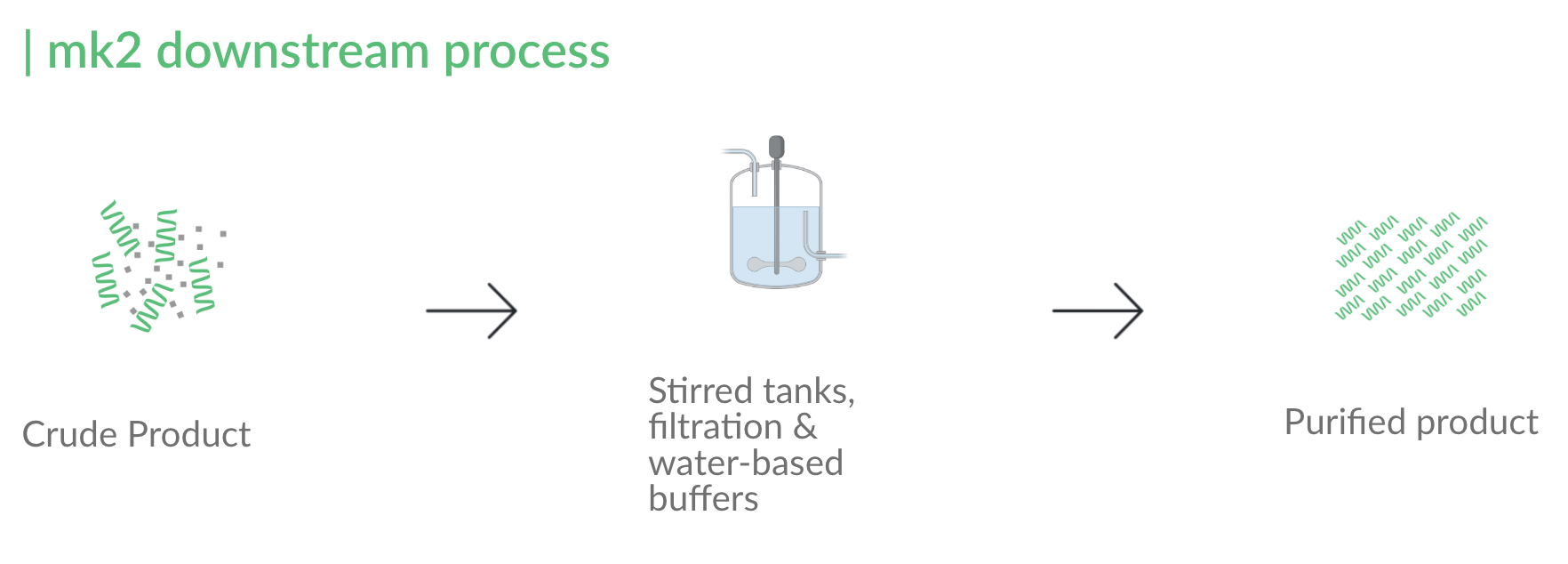 mk2 Downstream Process