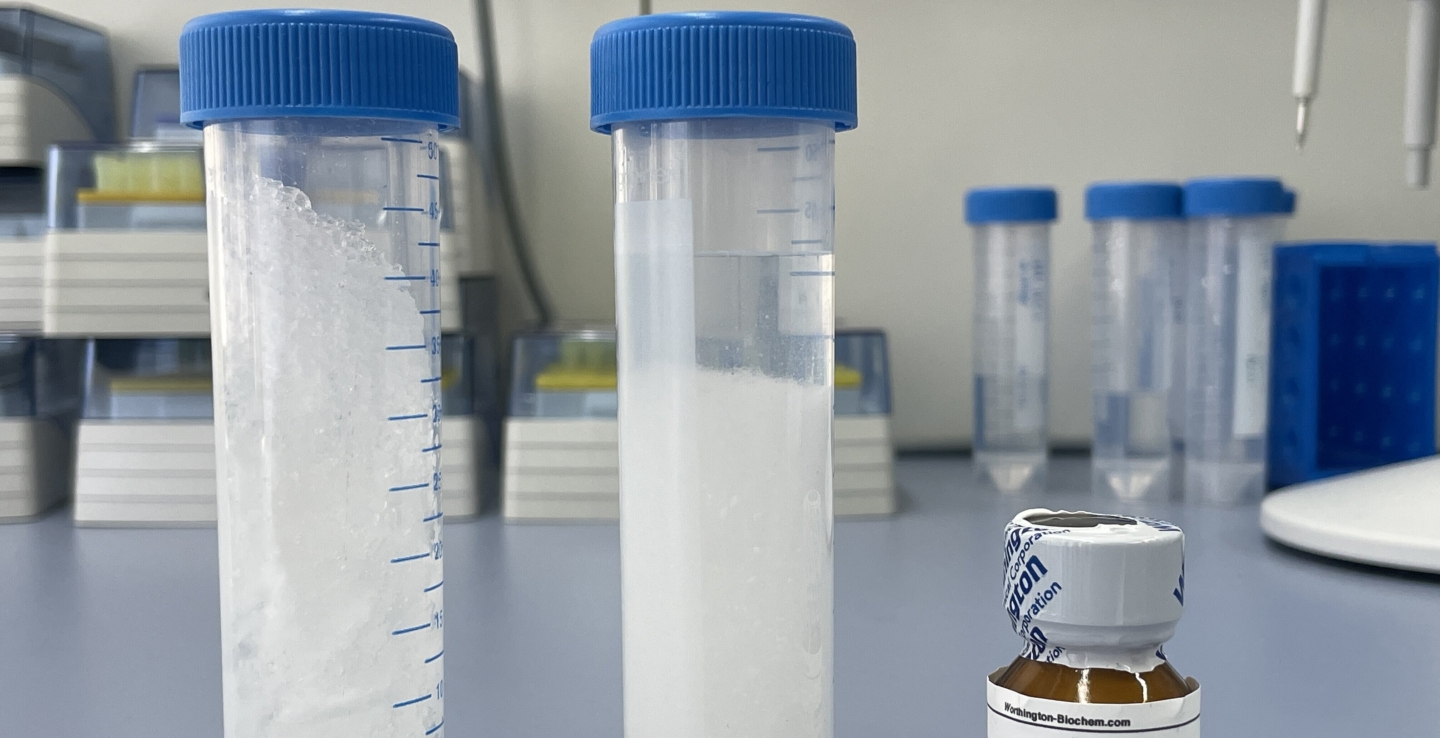 Csm Encycling Vergleich entmischt mit Cellulase Foto NMI 3c92bbd673