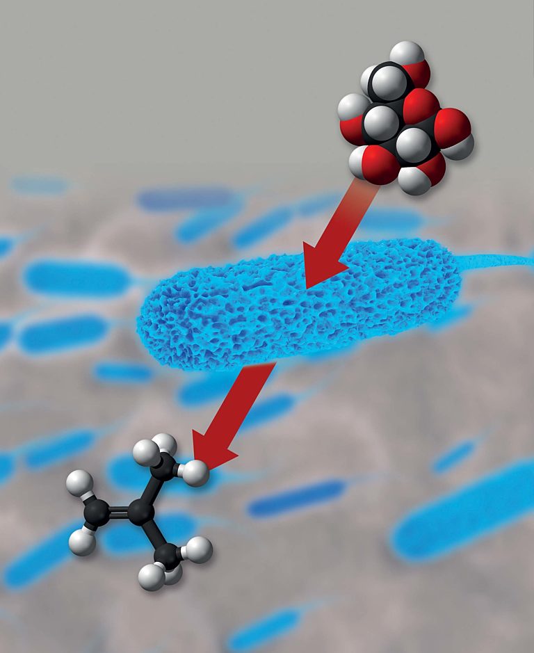IBB Netzwerk GmbH Abschluss der BasicEngineering Phase der…